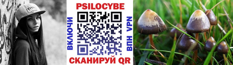 Купить закладки  Собинка  Галлюциногенные грибы мицелий 